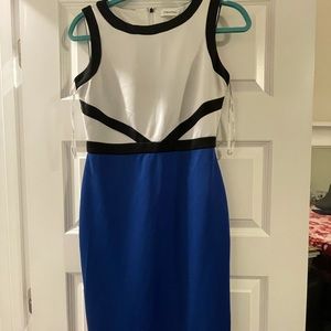 Calvin Klein size small dress.